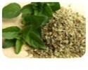 1 Oregano